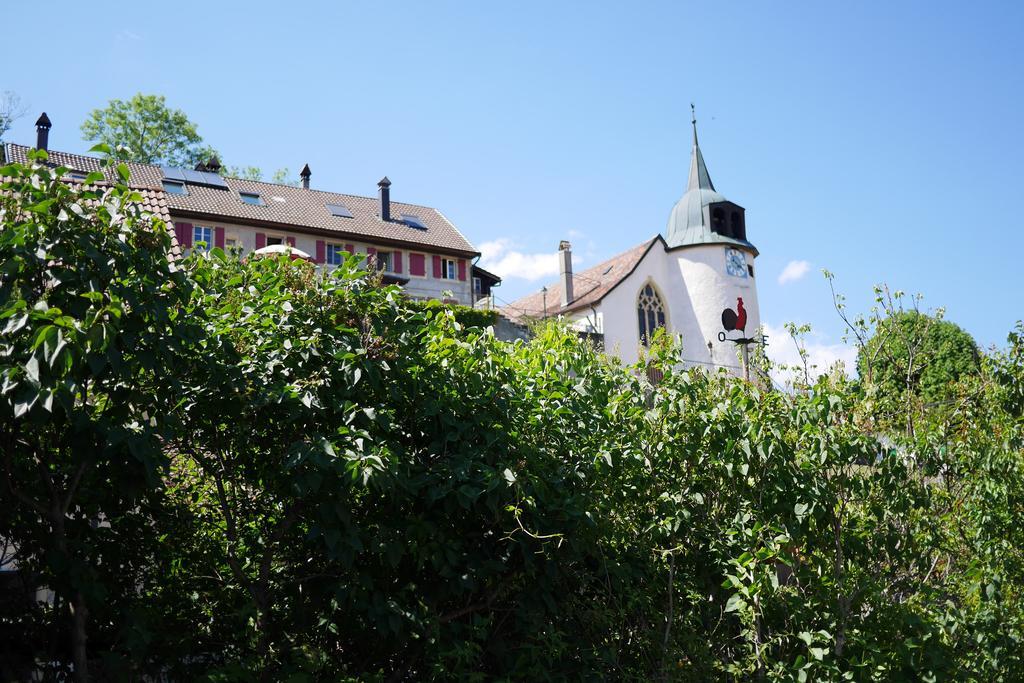 Auberge Aux Deux Sapins Montricher Cameră foto